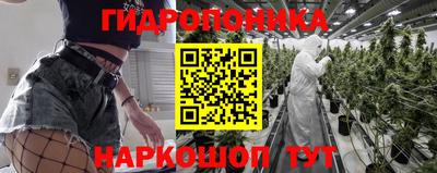 a pvp Обь